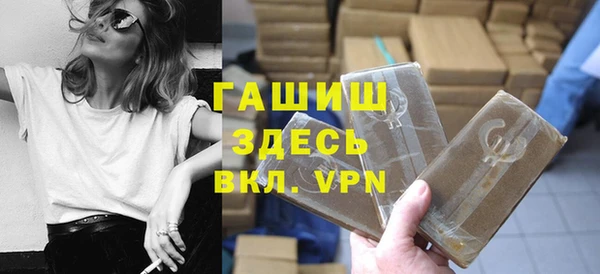 индика Елабуга