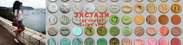 индика Елабуга