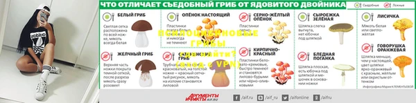амф Ельня