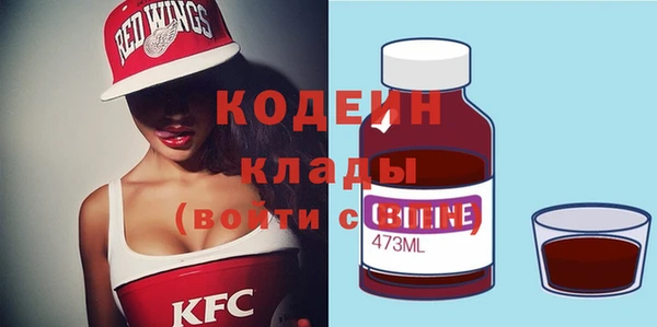 индика Елабуга