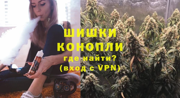индика Елабуга