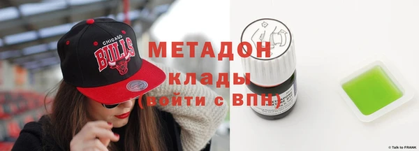 индика Елабуга