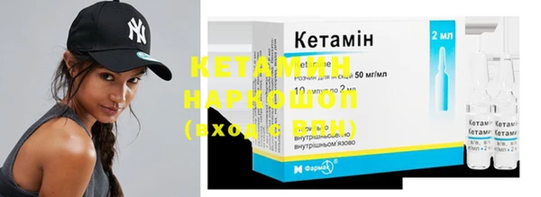 индика Елабуга
