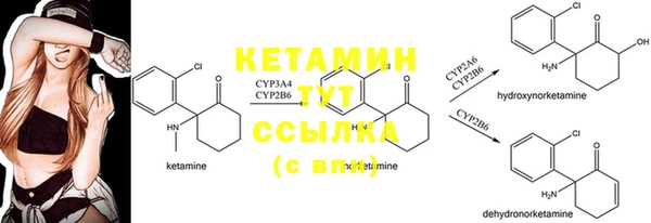 гашик Елизово