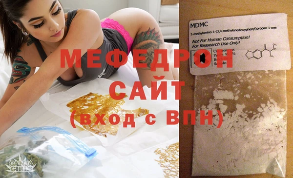 амф Ельня