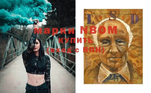гашик Елизово