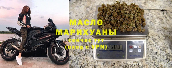 амф Ельня