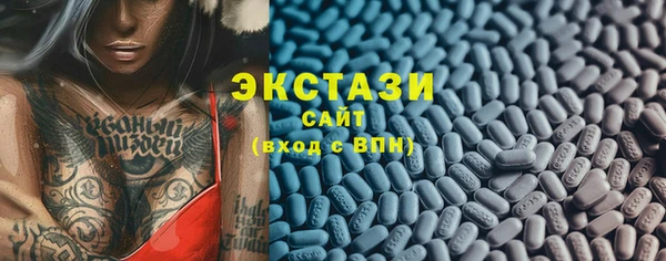 гашик Елизово