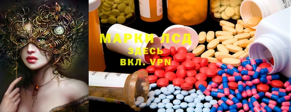 амф Ельня