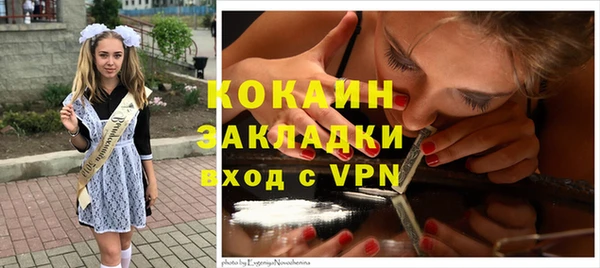 гашик Елизово