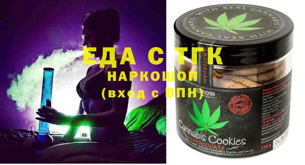 амф Ельня