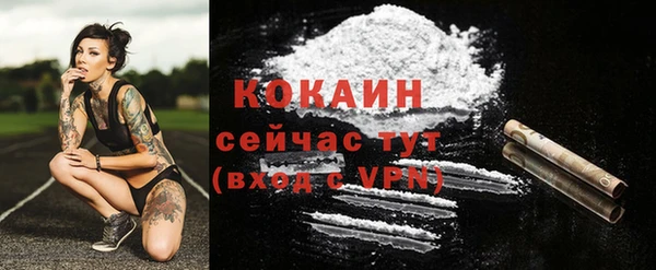 индика Елабуга