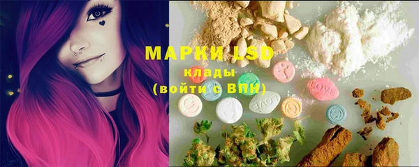 амф Ельня