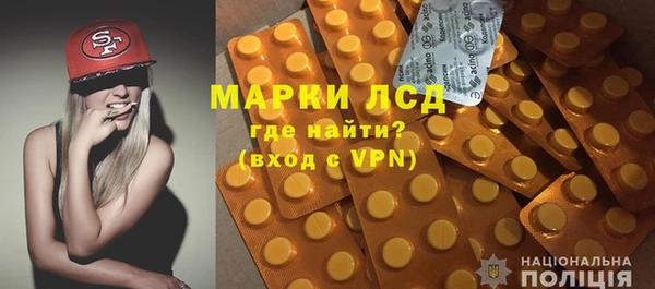 индика Елабуга