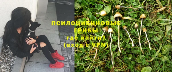 гашик Елизово