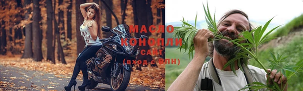 амф Ельня