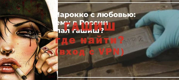 индика Елабуга