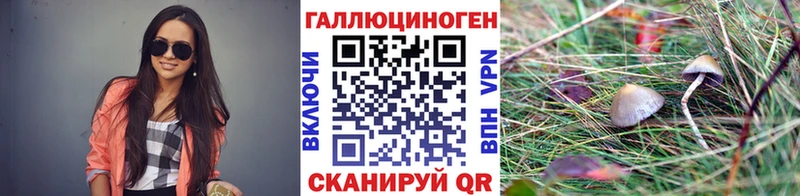 Купить закладки  Изобильный  Галлюциногенные грибы MAGIC MUSHROOMS 